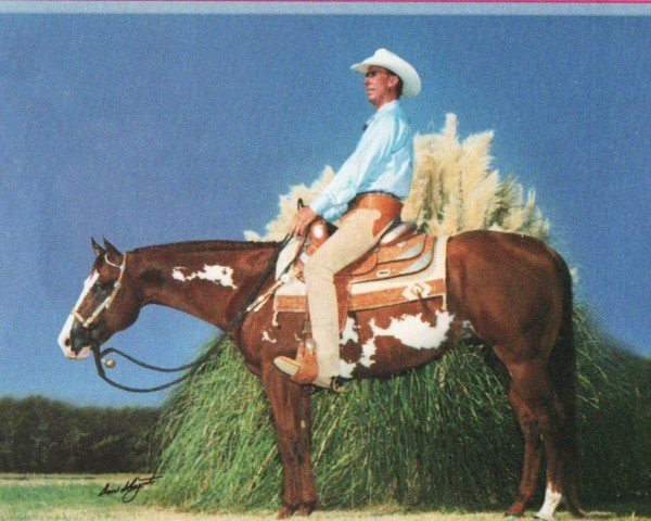 horse MC Xactly Zippo (Paint Horse, 1994, from Zippo Pine Bar)