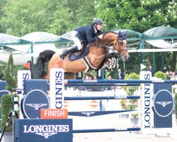 Springpferd Greatest Boy - H (KWPN (Niederländisches Warmblut), 2011, von Carrera VDL)