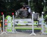 broodmare Haydee 3 (Oldenburg show jumper, 2010, from Cellestial)