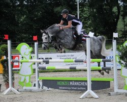 broodmare Haydee 3 (Oldenburg show jumper, 2010, from Cellestial)