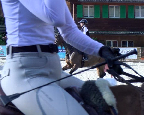 Reitturnier Schüpfheim 2025