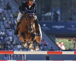 jumper Scala du Piedroux Z (Zangersheide riding horse, 2016, from Silver Deux de Virton)