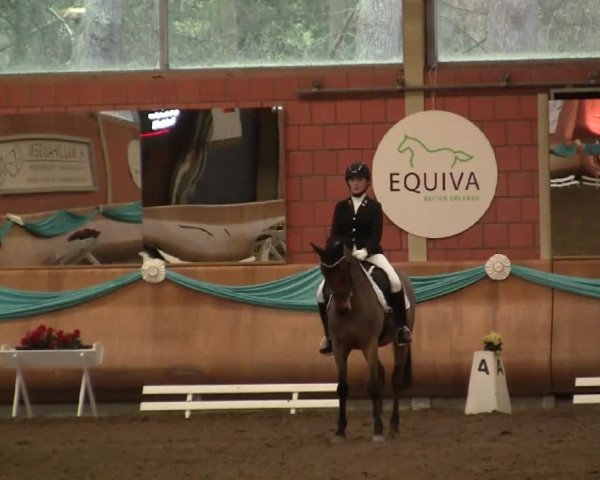 EQUIVA Dressur - Gala - Mönchengladbach - Schloss Wickrath 2014