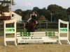 Springpferd Petit Pommeroy (Deutsches Reitpony, 2009, von Petite Filou)