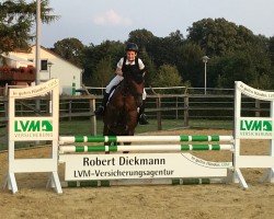 jumper Petit Pommeroy (German Riding Pony, 2009, from Petite Filou)