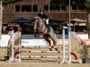 jumper Catalina Island (Holsteiner, 2020, from Catch)