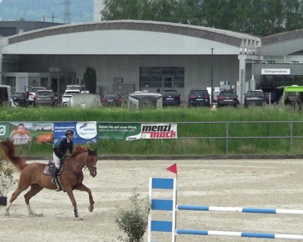 Reitturnier Werdenberg 2025