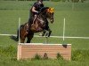 jumper Cartino 14 (Westphalian, 2010, from Cordato)