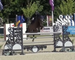 jumper Jerome K (KWPN (Royal Dutch Sporthorse), 2014, from VDL Harley)