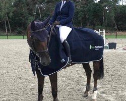 jumper Edalinda (KWPN (Royal Dutch Sporthorse), 2009, from Lexicon)