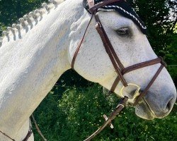 broodmare Fleur de L'Amour 3 (Holsteiner, 2013, from Calandro)