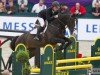 stallion Quintero (Holsteiner, 1998, from Quantum)