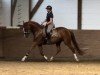 broodmare Dilay S (Oldenburg, 2020, from De Royal)