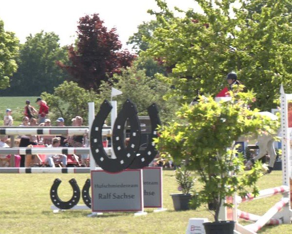 Reitturnier Wilkenburg 2025
