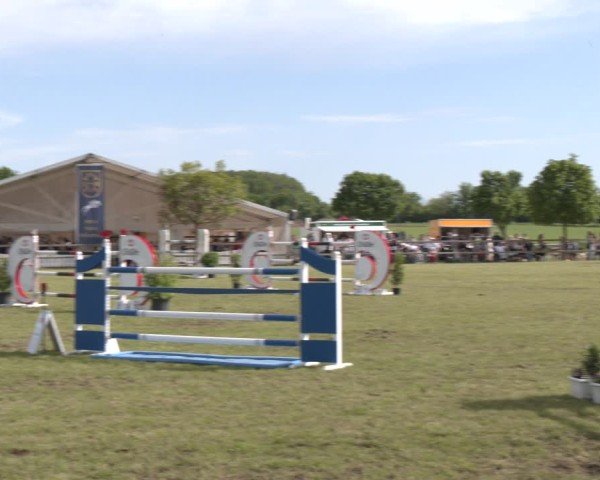 Reitturnier Wilkenburg 2025