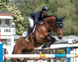 Springpferd Hearst DB (KWPN (Niederländisches Warmblut), 2012, von Emerald van 't Ruytershof)