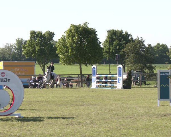 Reitturnier Wilkenburg 2025