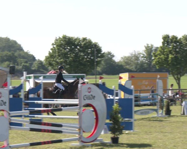 Reitturnier Wilkenburg 2025