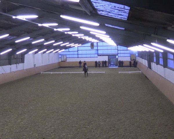 Reitturnier Datteln 2021