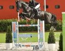 stallion Chad Blue PS (Oldenburg show jumper, 2015, from Chacco-Blue)
