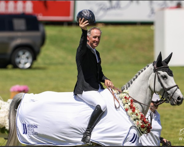 jumper Scarteen (UK Warmblood, 2013, from VDL Cardento 933)
