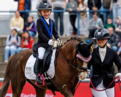 Dressurpferd Three-B Calipso (Welsh Pony (Sek.B), 2015, von Trefriw Duke)