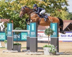 Springpferd Romelus de Muze (Belgisches Warmblut, 2017, von Bamako de Muze)