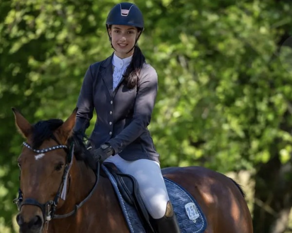 jumper Surprise (Swiss Warmblood, 2012, from Unbekannt SUI)