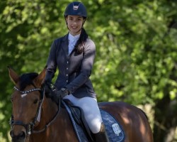 jumper Surprise (Swiss Warmblood, 2012, from Unbekannt SUI)