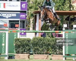 jumper Highland President (KWPN (Royal Dutch Sporthorse), 2012, from Clinton)