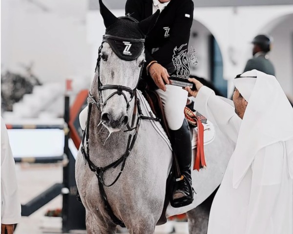jumper BP Arctic Blue (Oldenburg show jumper, 2016, from A Pikachu de Muze)