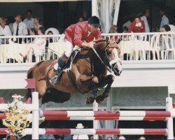 stallion Prince Paradiso (KWPN (Royal Dutch Sporthorse), 1983, from Purioso)