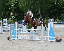 jumper Leyro El Rasillo (Spanish Sport Horse, 2017, from Natif de Celland)