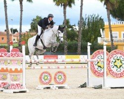 jumper Balina Vom Rahmannshof Z (Zangersheide riding horse, 2016, from Bella Baloubet)