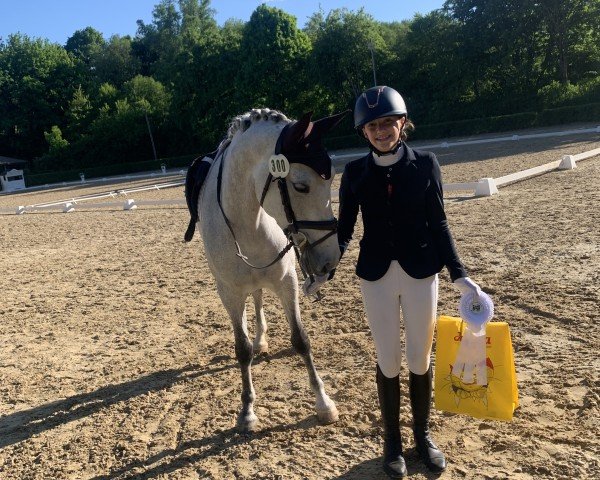 Springpferd Camilla 178 (Deutsches Reitpony, 2019, von Del Piero 25)
