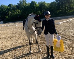 Springpferd Camilla 178 (Deutsches Reitpony, 2019, von Del Piero 25)