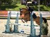 jumper Carino 672 (German Riding Pony, 2015, from Kastanienhof Cockney Cracker)
