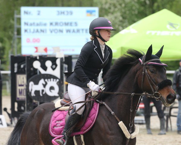 jumper Kijani von Wartensee (Trakehner, 2018)
