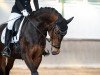 dressage horse Magnolie (Hanoverian, 2016, from E.H. Millennium)