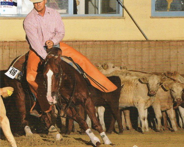 horse GM Freckles (Quarter Horse, 1996, from Docs Litle Badge)
