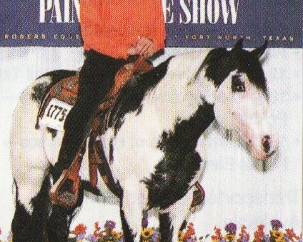 horse Blacks Goinbigtime (Paint Horse, 1986, from Blue Max)