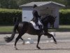 dressage horse Damon's Dark Rose (Oldenburg, 2012, from Damon Hill)