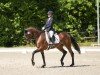 Dressurpferd Be my Lady 7 (Hannoveraner, 2016, von Buckingham)