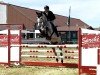 jumper Chacara CB (Oldenburg show jumper, 2019, from Chacoon Blue)