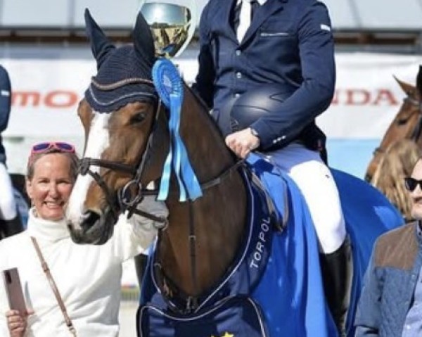 jumper La Pleasure-Imoo (KWPN (Royal Dutch Sporthorse), 2016, from For Pleasure)
