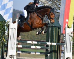 broodmare Luna 2263 (German Sport Horse, 2015, from Lebemann)