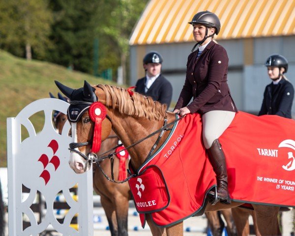 jumper Chaccartoon W (Polish Warmblood, 2019, from Chacco Nann)