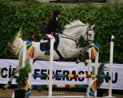 jumper Dundee AS (German Sport Horse, 2015, from Discar)