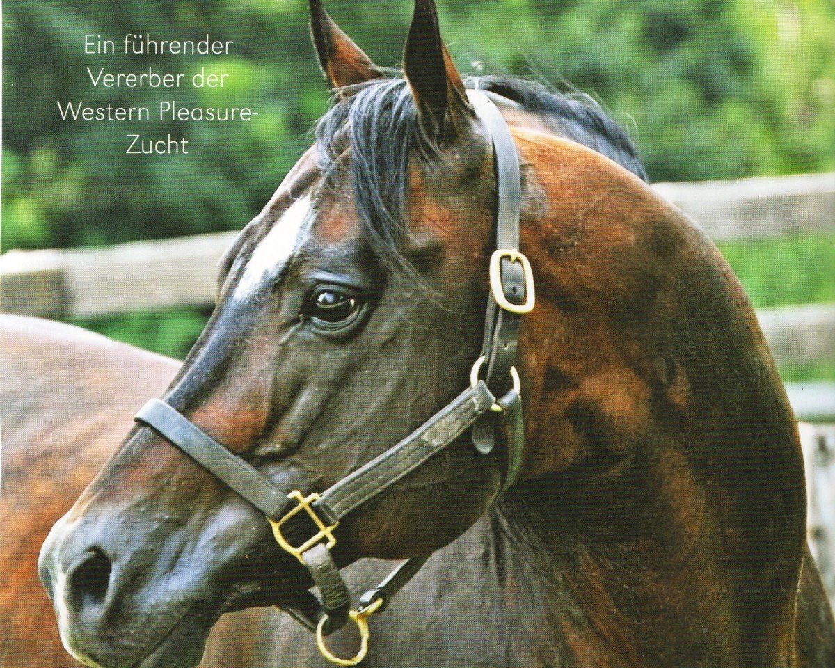 horse A Touch Of Sudden (Quarter Horse, 1999, from A Sudden Impulse)