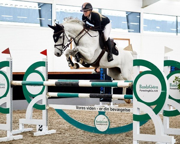 jumper Granit 318 (Hanoverian, 2014, from Grey Top)